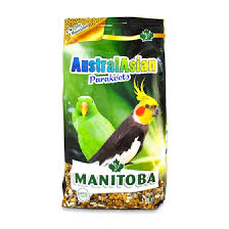 Manitoba parakeets AustralAsian
