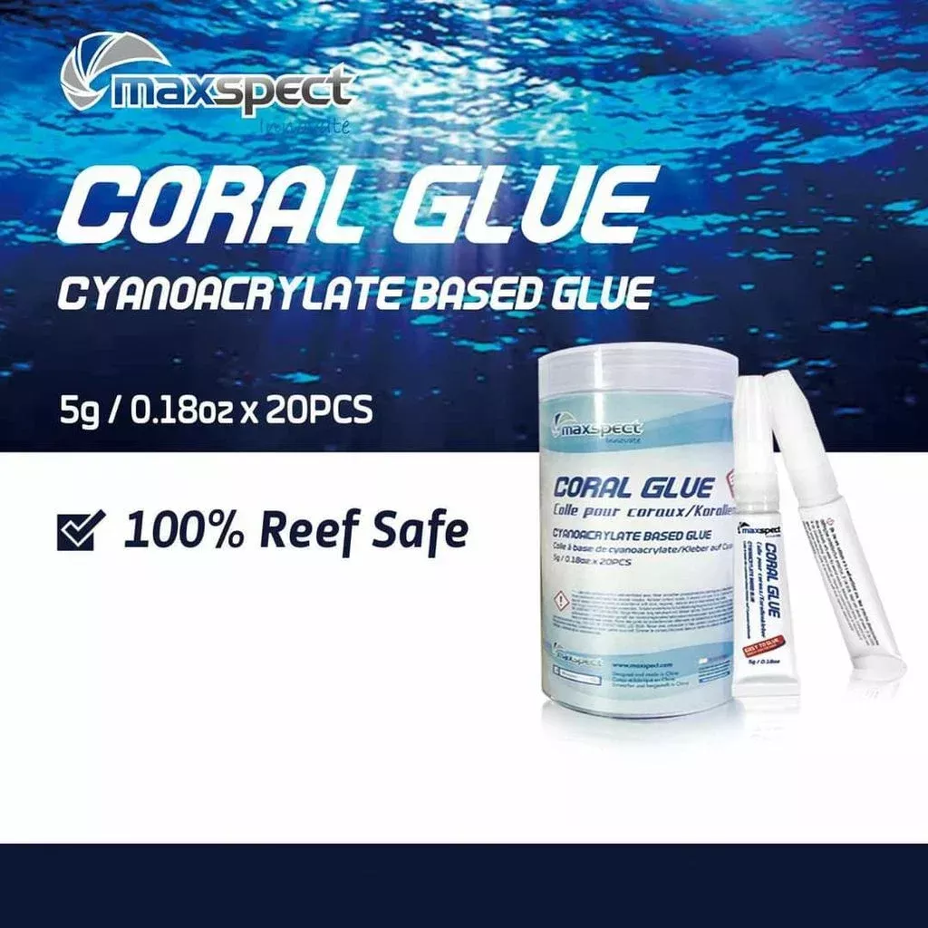 Maxspect Coral Glue 1Box (20 pcs)