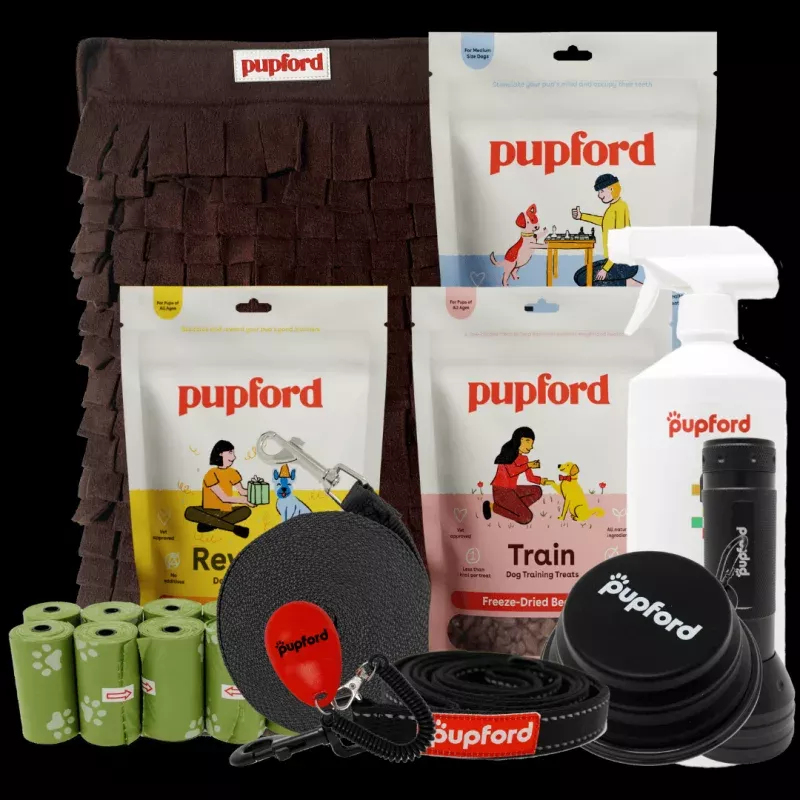 Medium Dog New Pup Pack