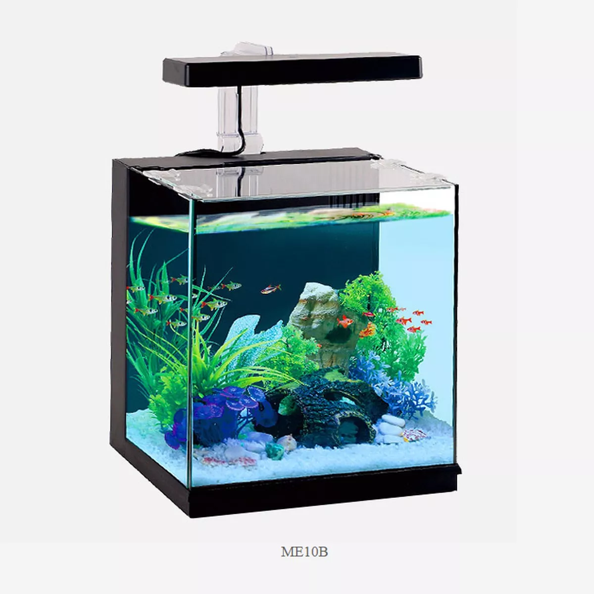 MINI ECO AQUARIUM