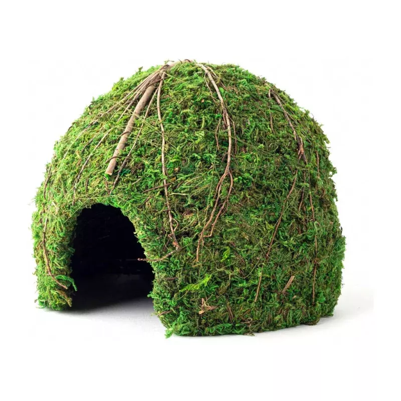 Mossy Dome