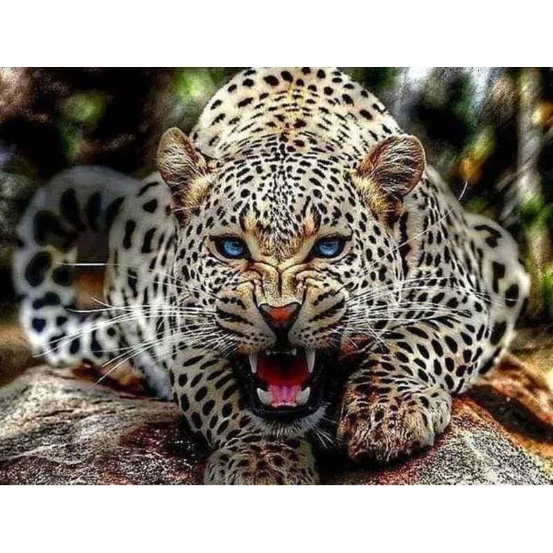 Mother Leopard Roars – Transform Your Backyard into a Wildlife Oasis for All Creatures