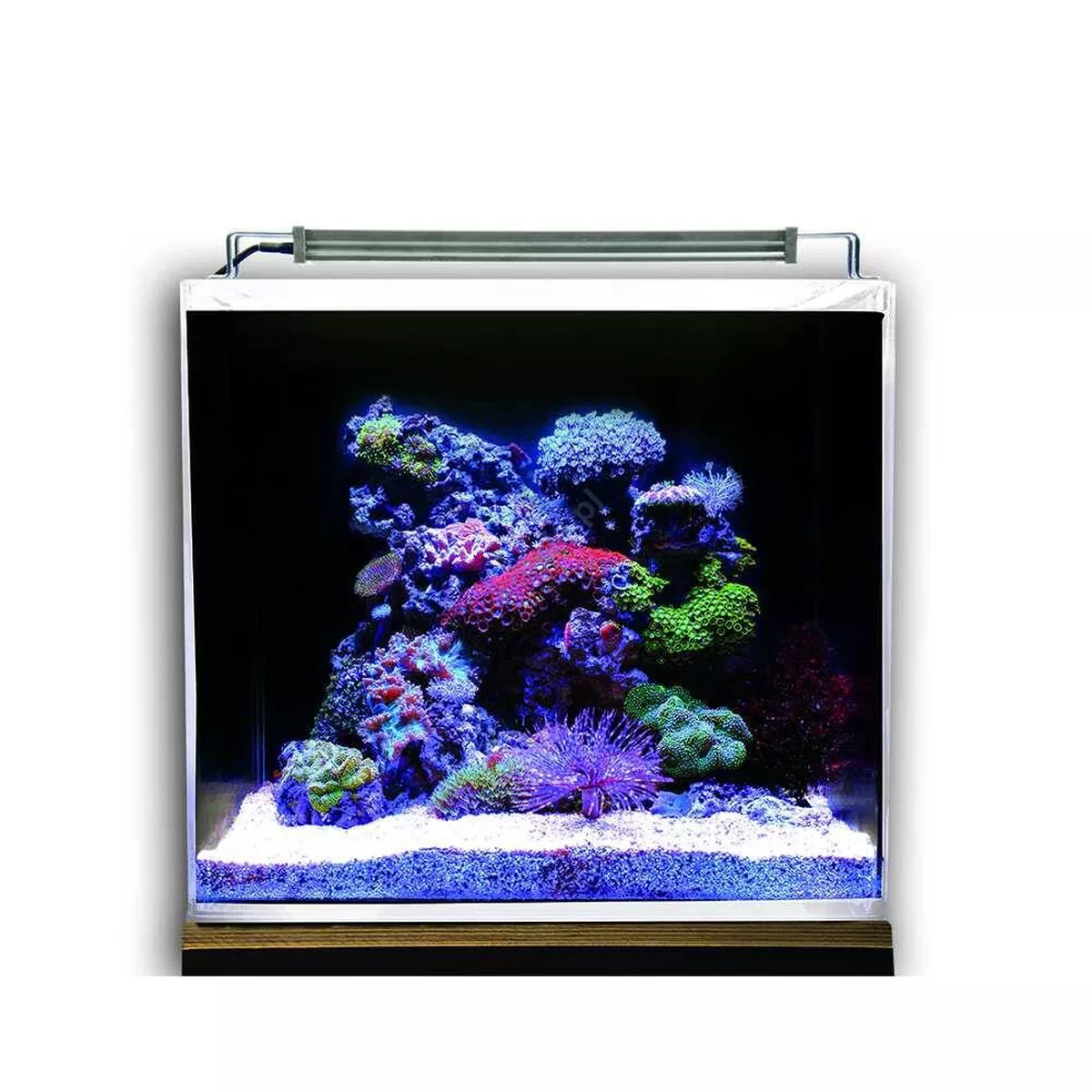 NANO OCEAN SET