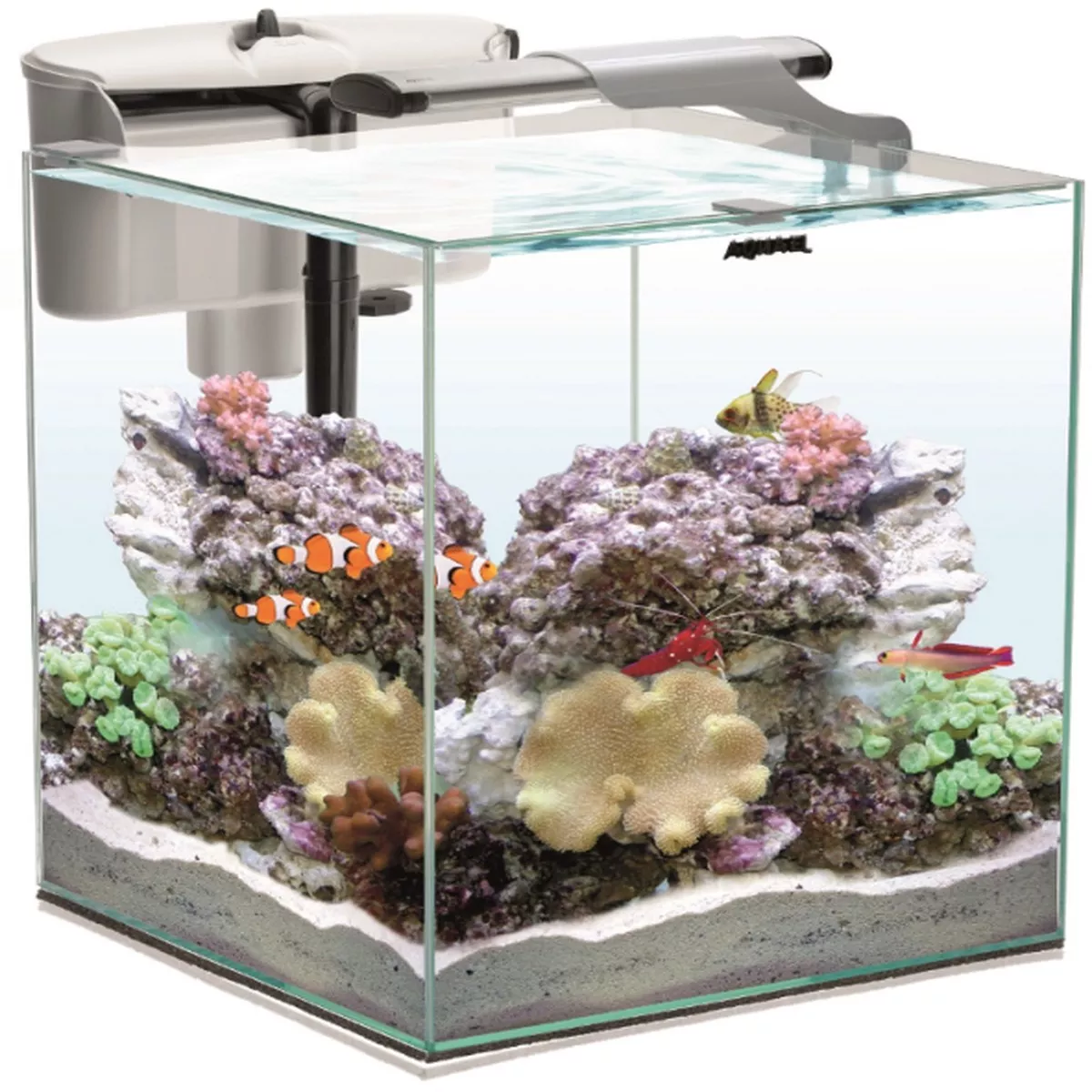 NANO REEF 35 WHITE DUO