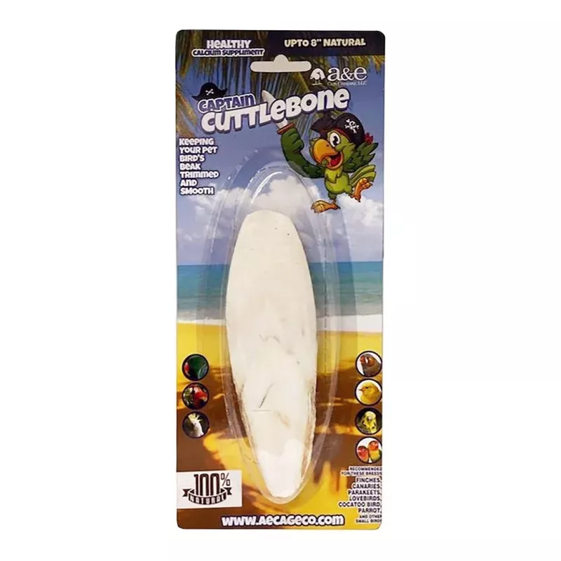 Natural Cuttlebone