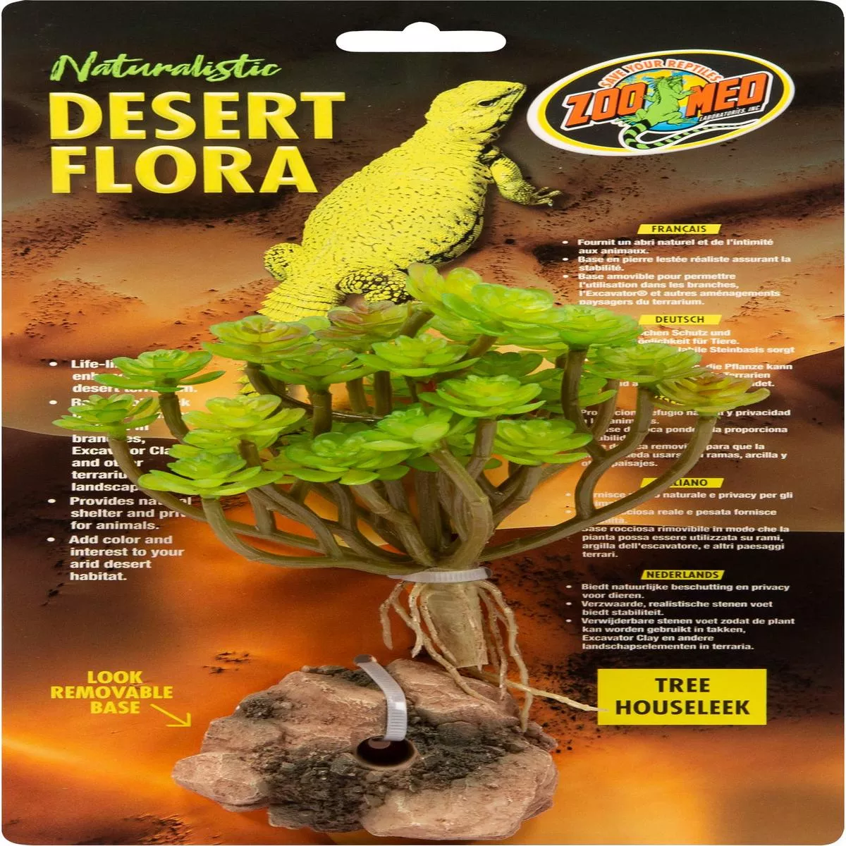 Naturalistic Desert Flora Plant – TREE HOUSELEEK