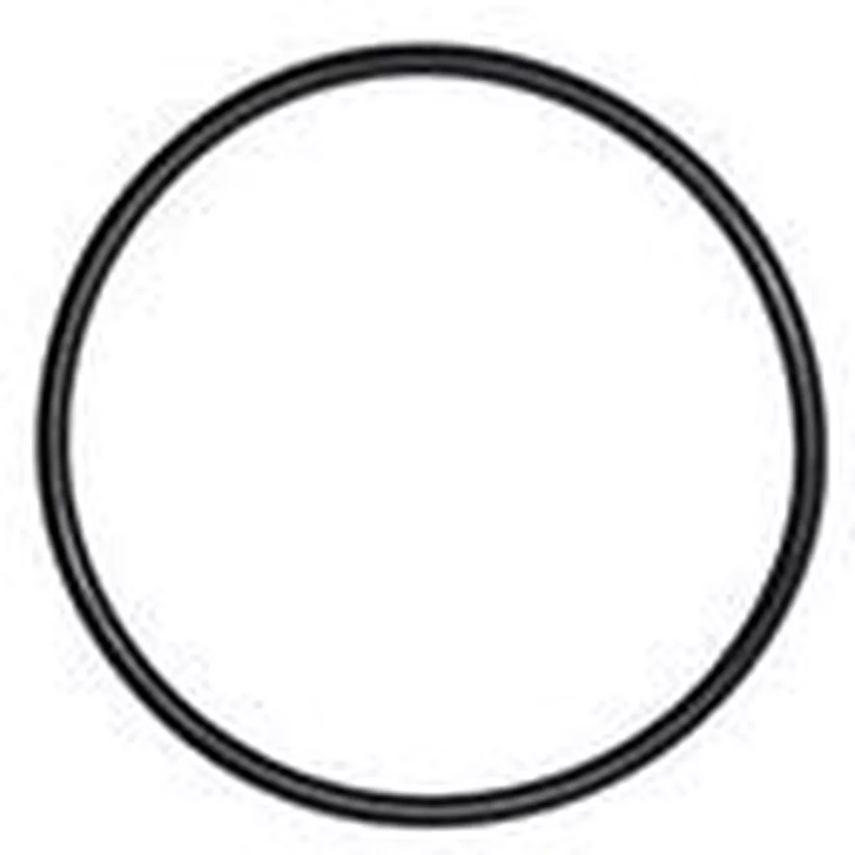 O RING FOR NANO SKIM