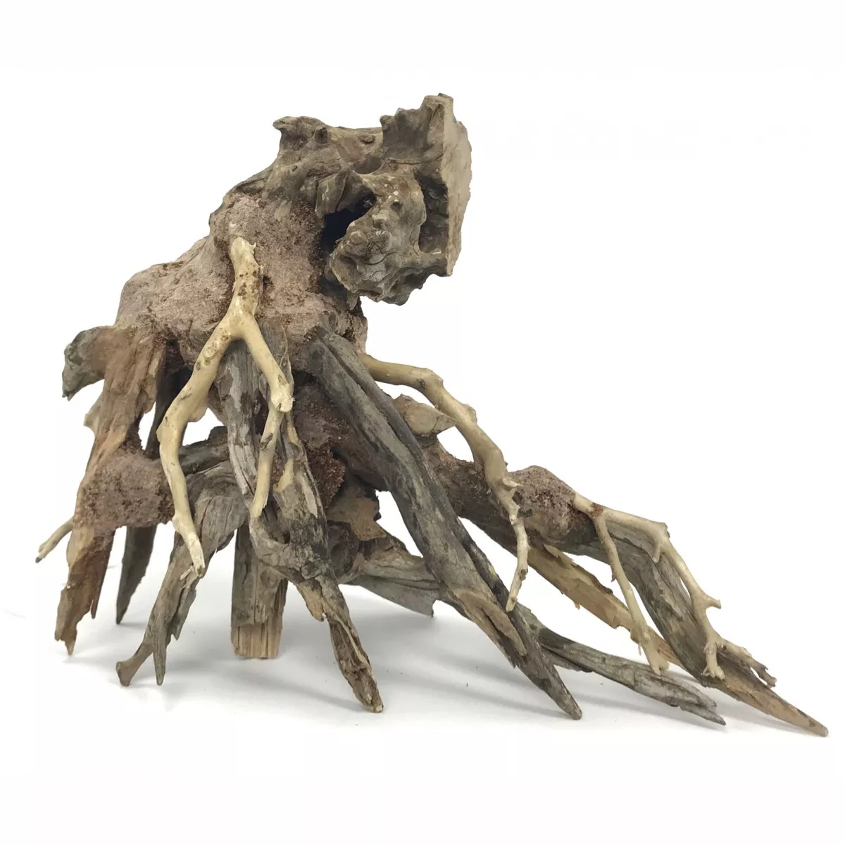 Octopus Wood Large, 35x30x17 cm / box
