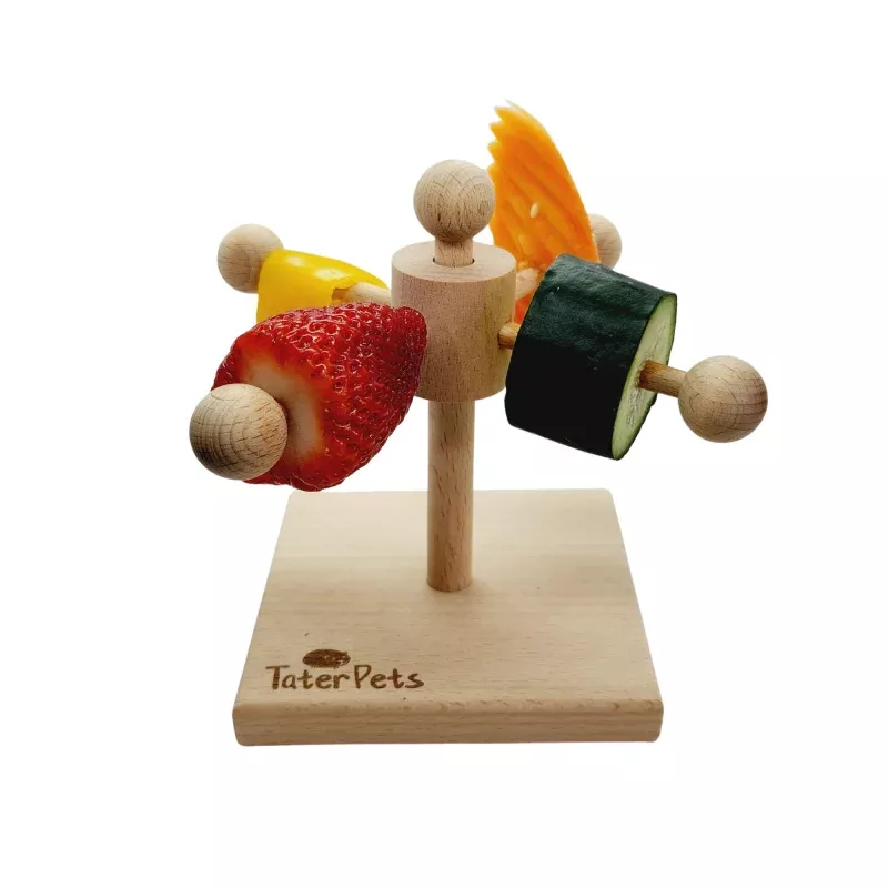 One Turntable Enrichment Toy