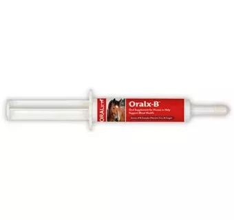 ORALX-B VITAMIN B COMPLEX PASTE – 34GM SYRINGE