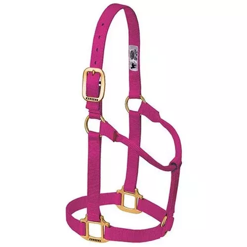Original Non-Adjustable Halter 1″ -hot pink