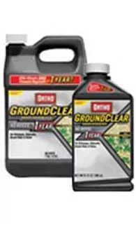 Ortho, GroundClear, 1 Gal.