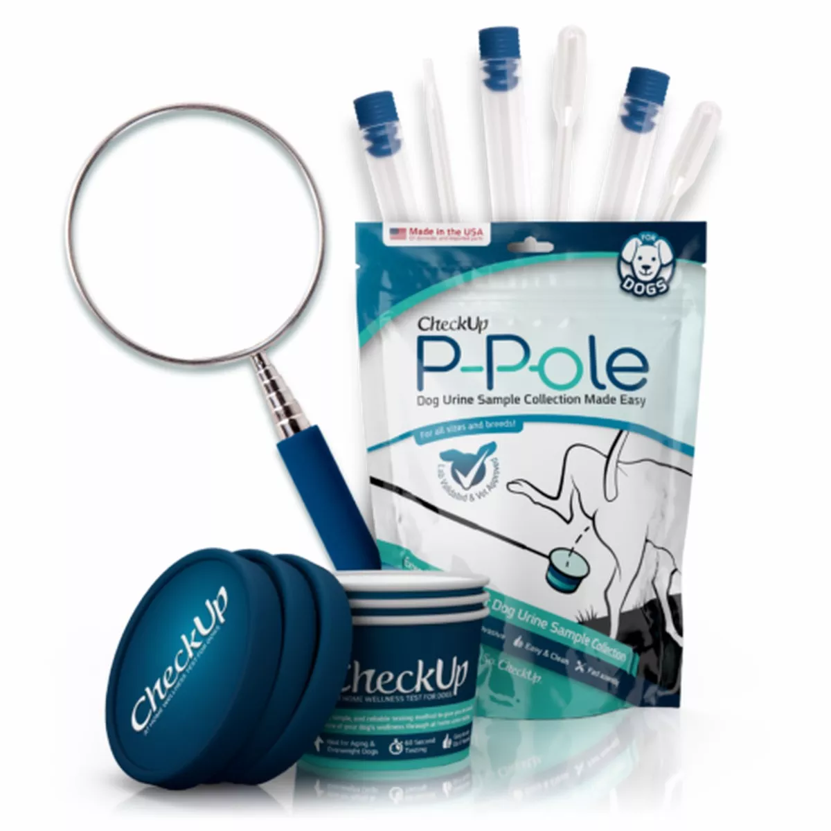 The P-Pole