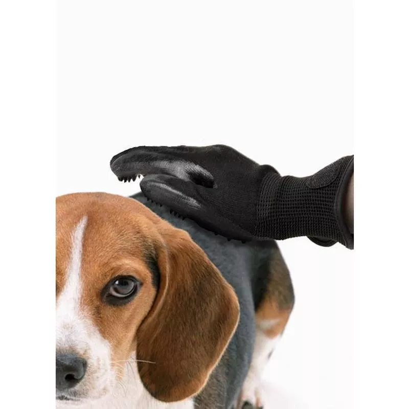 Pawise Pet Deshedding Glove 2Pk