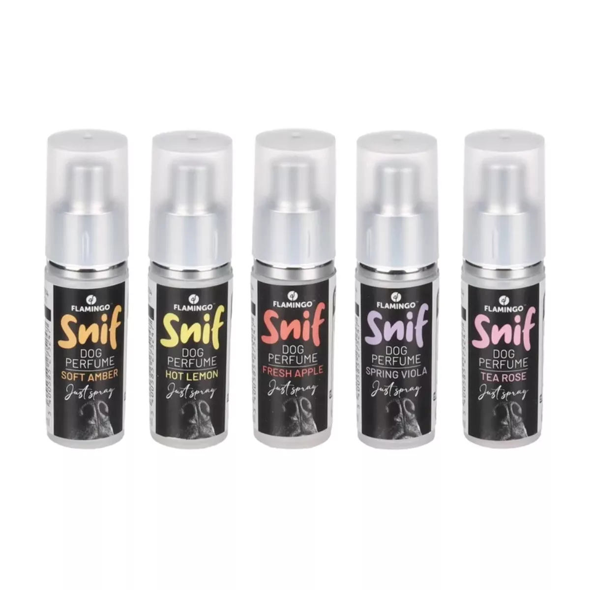 PERFUME RAIKA 5 FRAGRANCES DISPLAY 9ML (1PC)