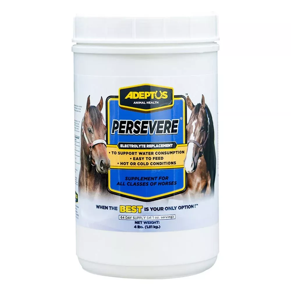 Persevere Electrolyte Replacement for Horses