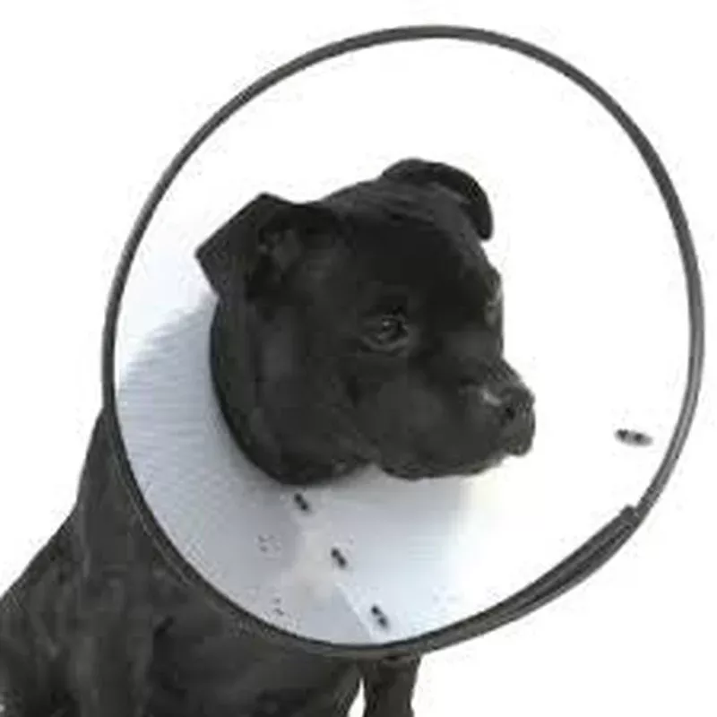 PetEdge-Th E-collar L 12.5in Clr