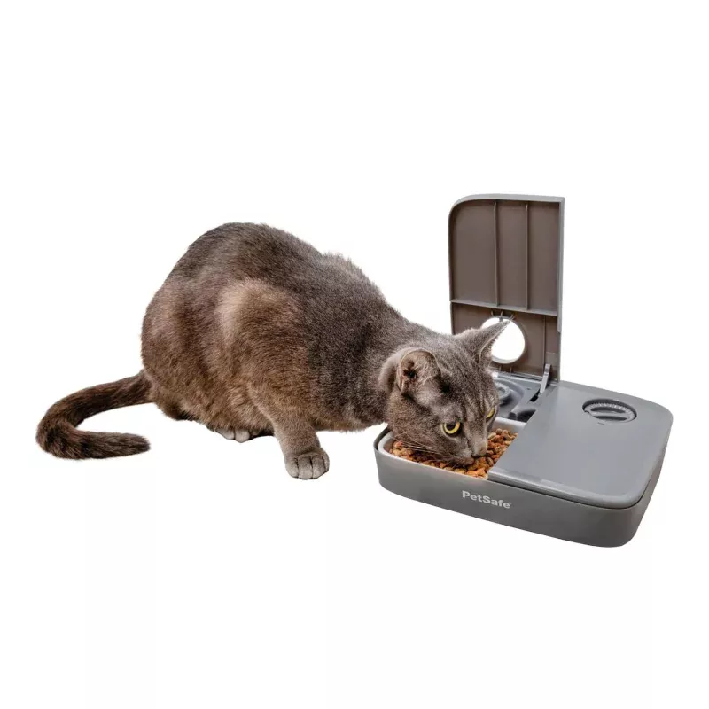 PetSafe Automatic 2 Meal Pet Feeder Gray