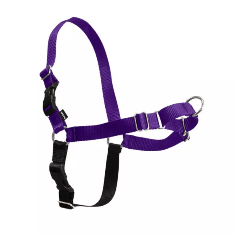 PetSafe Easy Walk Deep Purple & Black Dog Harness