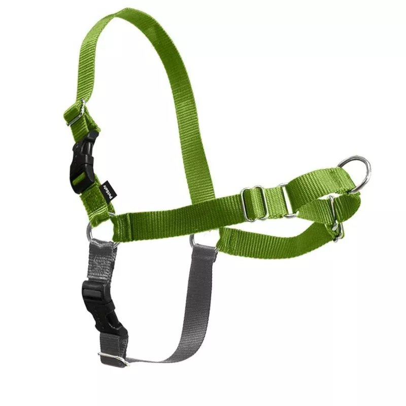 PetSafe Easy Walk Green Apple & Gray Dog Harness