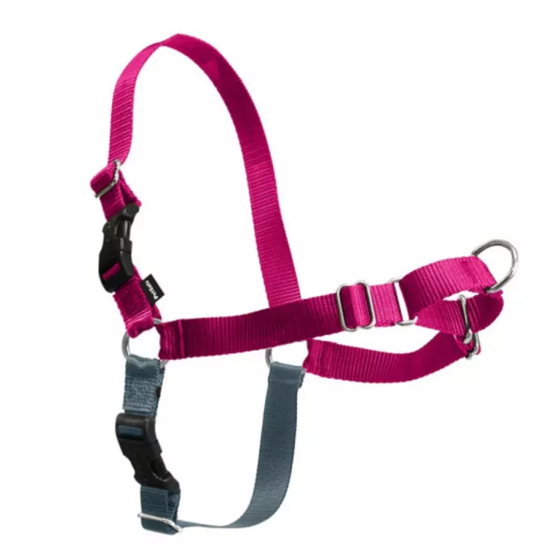 PetSafe Easy Walk Raspberry & Gray Dog Harness