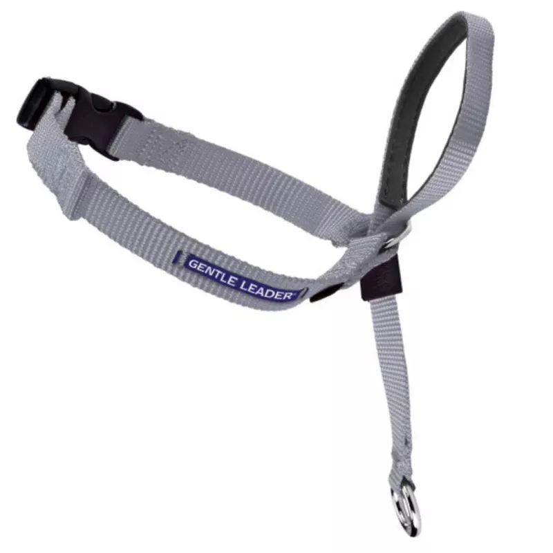 Petsafe Gentle Leader Quick Release Silver Headcollar for Dogs