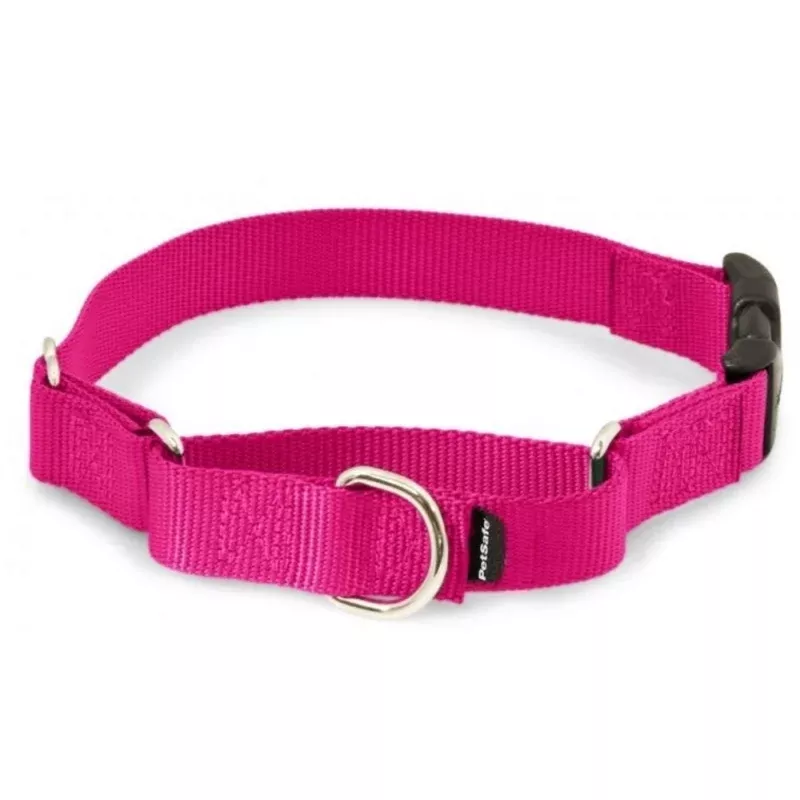 PetSafe Premier Martingale Raspberry Quick Snap Pet Collar