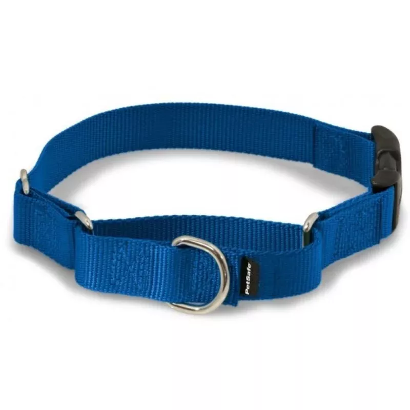 PetSafe Premier Martingale Royal Blue Quick Snap Pet Collar