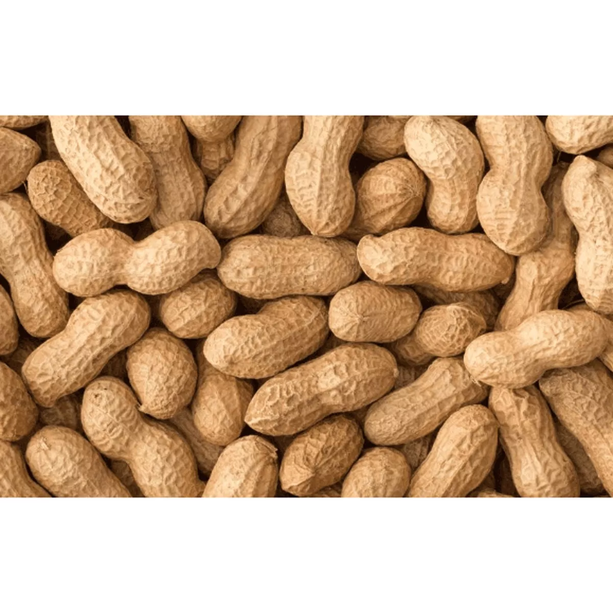 PHC Peanuts in Shell 500gr