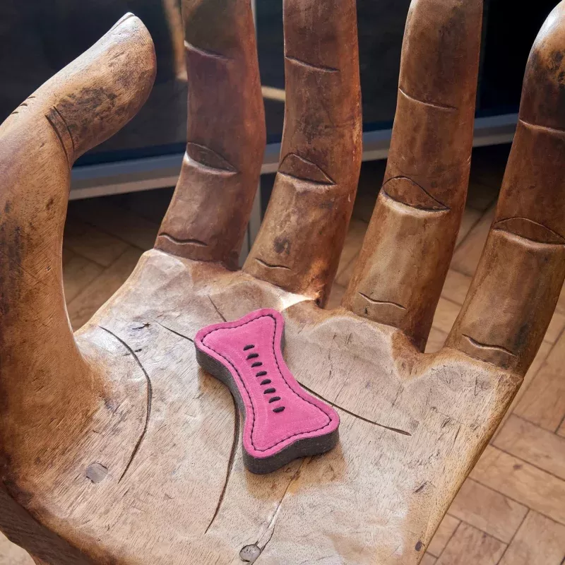 Pinkie Bone Eco Dog Toy