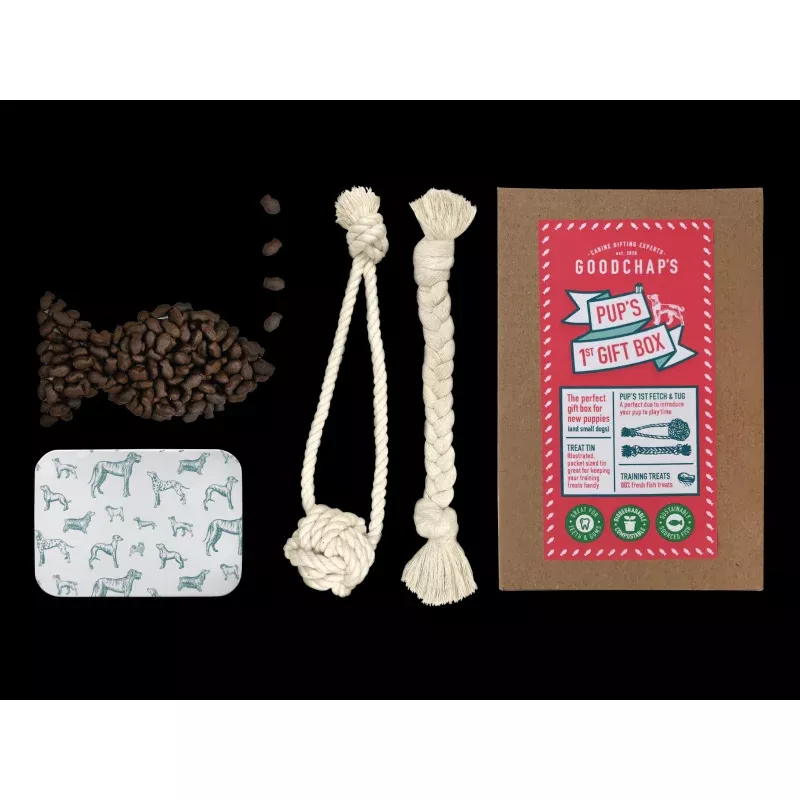Pup's 1st Gift Box