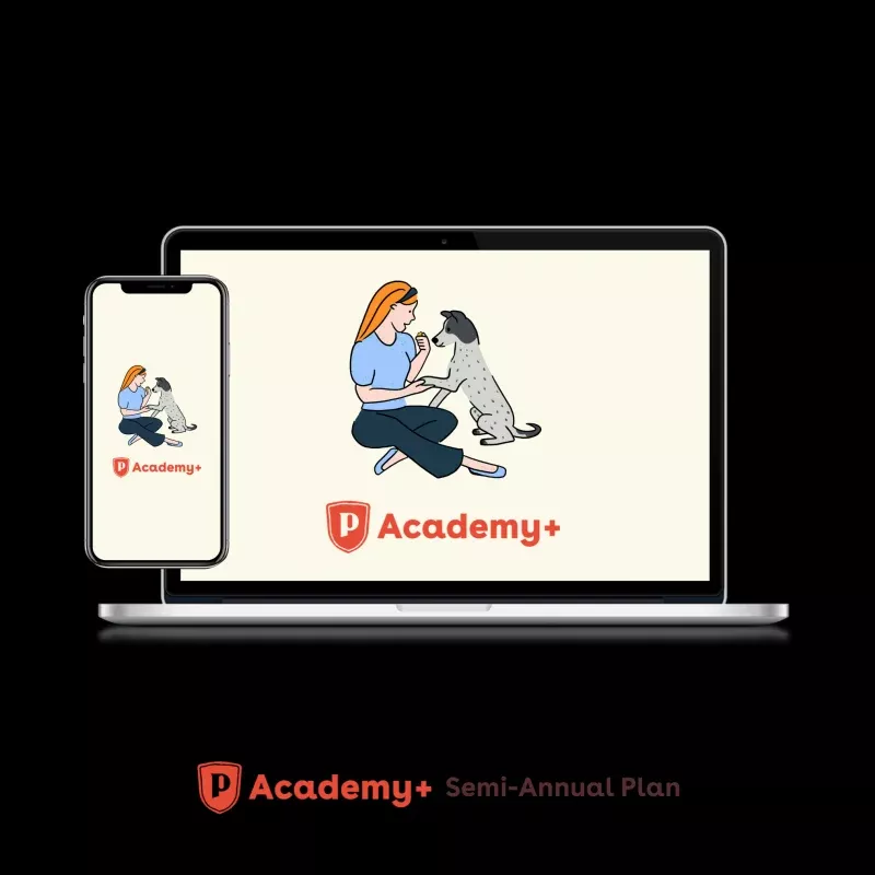 Pupford Academy+ Semi-Annual Plan