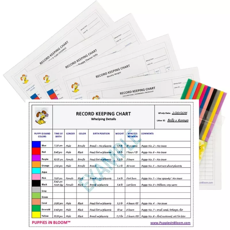 Puppies in Bloom Breeder Record Keeping Charts Multi
