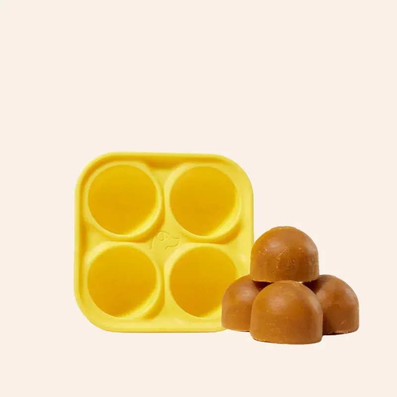 Pupsicle - DIY Treat Tray