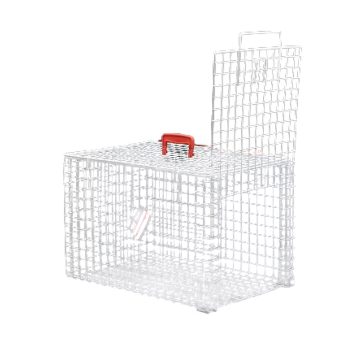 QUEENS CAGE