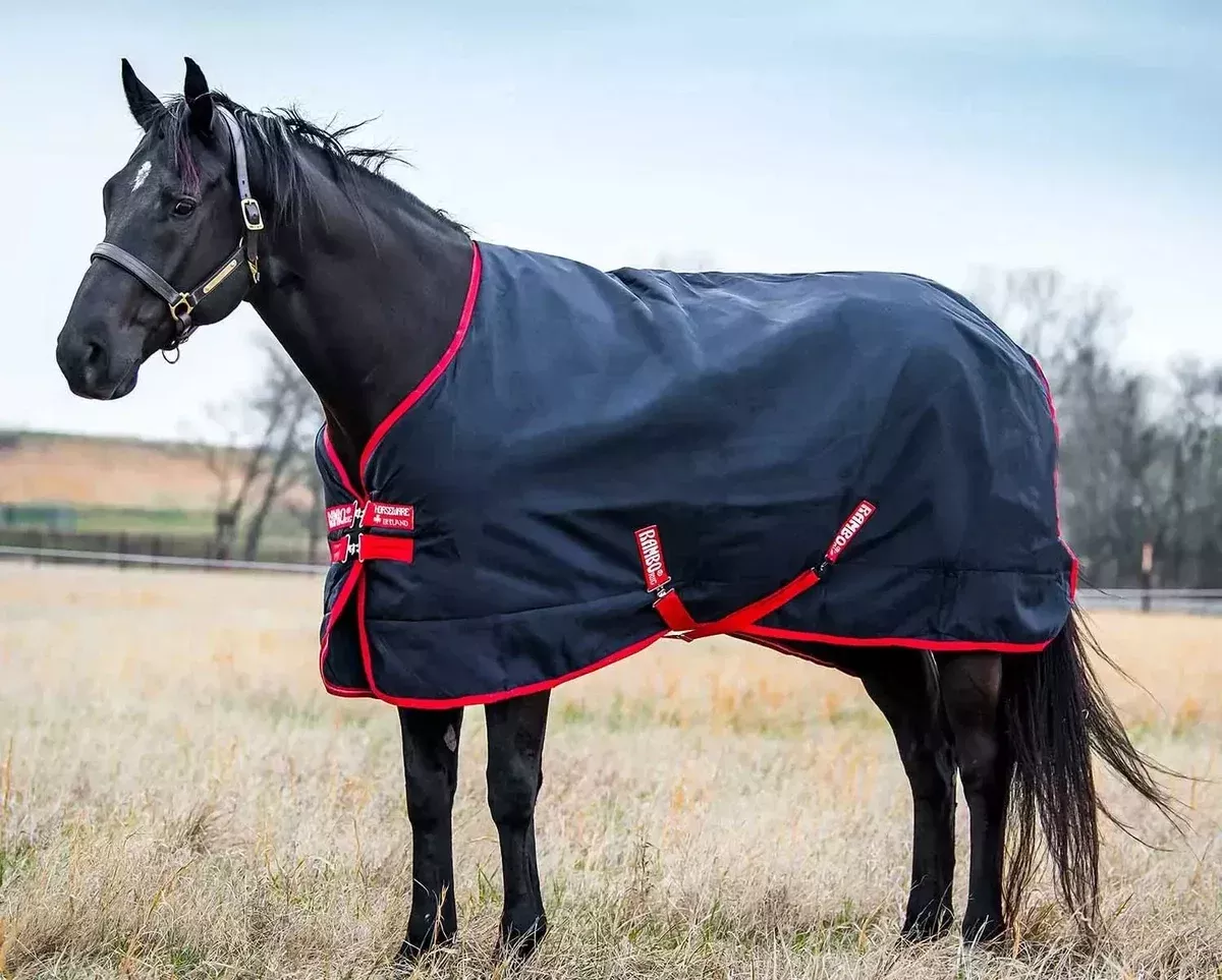 Rambo Original Medium Blanket, 1000D, 200 Grams