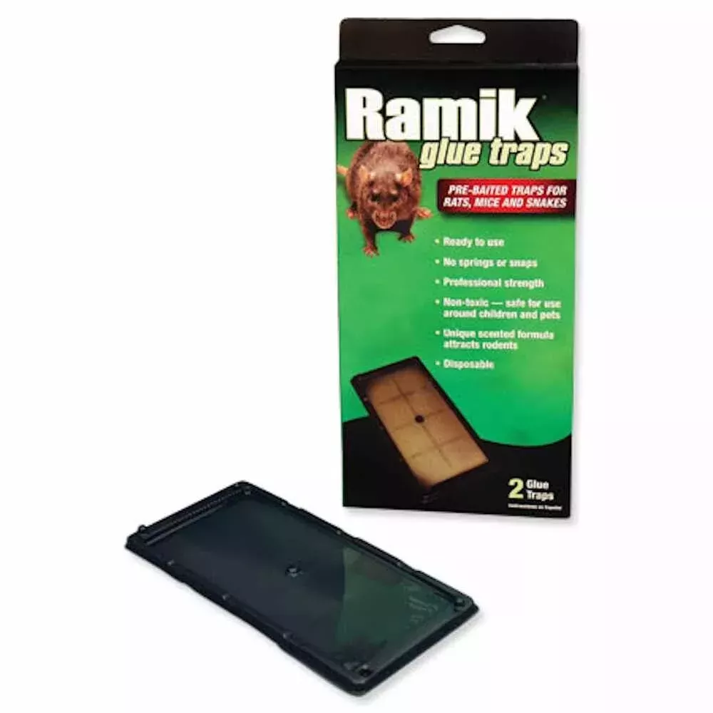 RAMIK RAT GLUE TRAP NON-TOXIC 2/PKG
