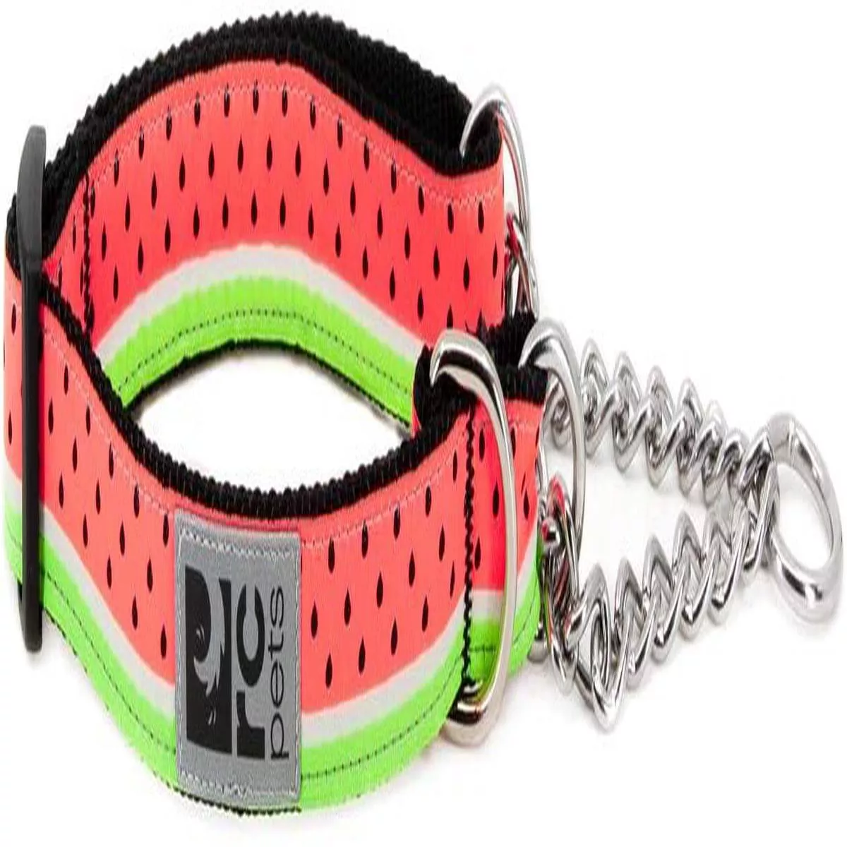 RC Pets Training Dog Collar, Watermelon