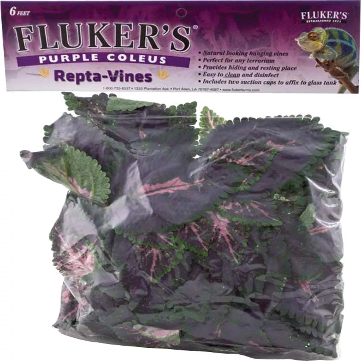 Repta Vine Purple Coleus – PURPLE | 6 FT