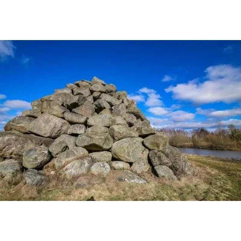 Rocks – Transform Your Backyard into a Wildlife Oasis for All Creatures