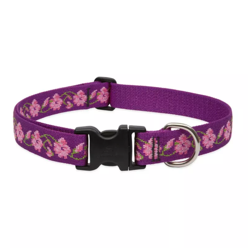 Rose Garden Collar