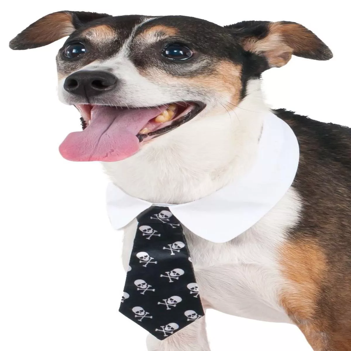 Rubie’s Skull Print Tie Pet Costume