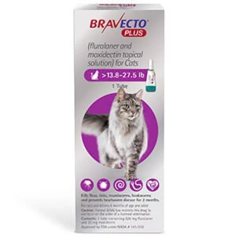 Rx BRAVECTO Plus Topical for Cats