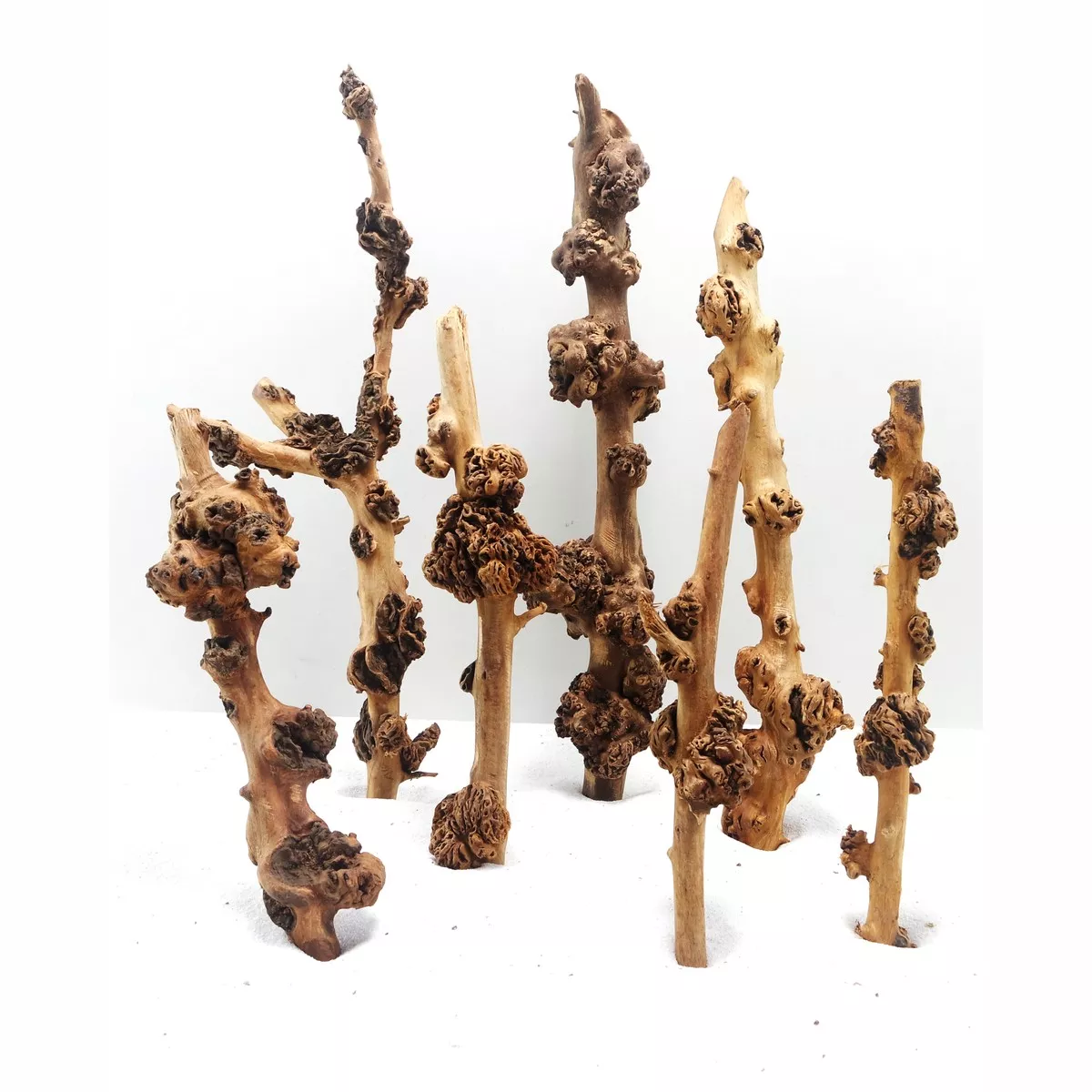 Sava Wood Small, 20-30 cm / box