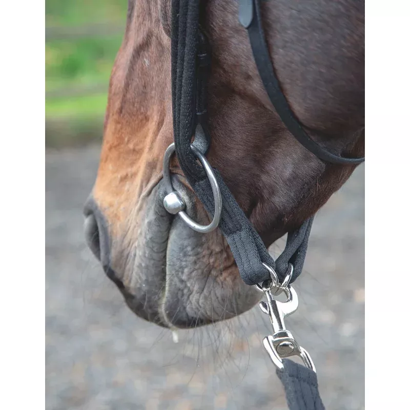 Shires Lunging Adapter Black