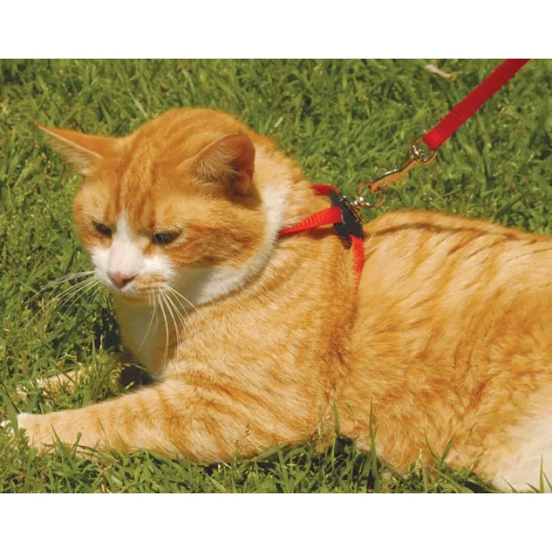 Size Right! Adjustable Cat Harness Red