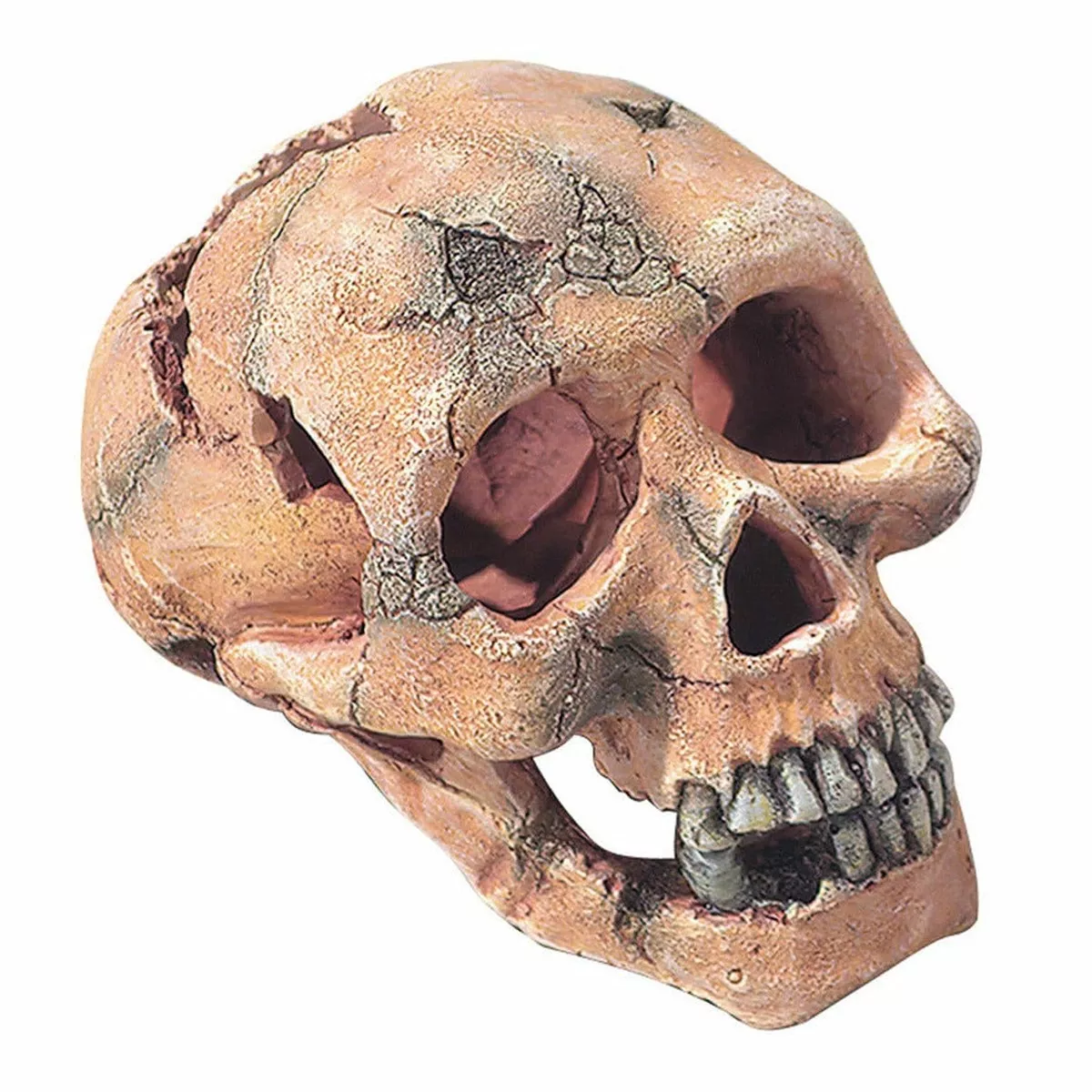 SKULL S - 11CM
