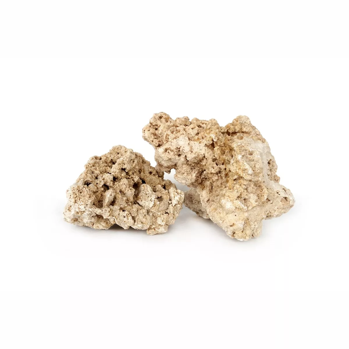 South Seas Rock Large, approx. 3pcs / box