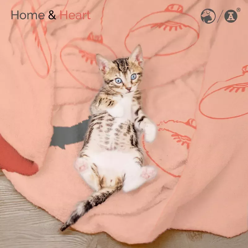 SPCA x Red A Blanket – Cat