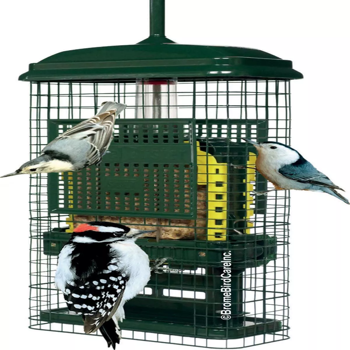 Squirrel Buster Suet Wild Bird Feeder – GREEN | 2 CAKE CAP